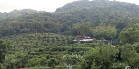 Bán trang trại chính chủ tại huyện Nghĩa Đàn, Nghệ An