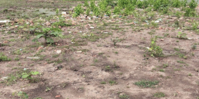 Đất giá rẻ xã Phước Khánh giá chỉ từ 450 triệu/1000m2 có mặt sông