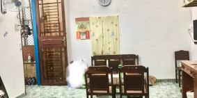 Chỉ hơn 1tỷ7 Chung cư q1 - lầu1- 1 gác lửng Trần Hưng Đạo