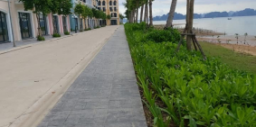 Shophouse Harbor Bay Hạ Long giáp 3 mặt biển, hơn 6 tỷ/căn