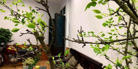 Bán nhà Văn Hương 30mx 4 tầng ,otô đỗ gần ,giá 2.75 tỷ