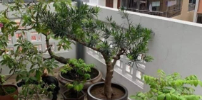 7.2tỷ Nhà phố Nguyễn Sơn,Long Biên 47mx6Tầng,Thang máy Ôtô cửa