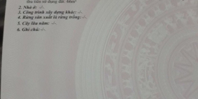 Đất giá rẻ đối diện KCN Phú Mỹ!