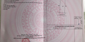 BÁN ĐẤT SỔ RIÊNG TRUNG TÂM THÀNH PHỐ BIÊN HÒA P. HỐ NAI GIÁ 350TR/LÔ ĐÃ BÁN 21 L