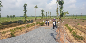 Đất Sổ Hồng  Nhuận Đức, Củ Chi, DT: 500m2, Gía  550tr Bao sang tên