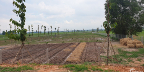 Cần bán gấp lô đất mặt tiền, SHR, DT :550m2, giá 600triệu,  xã Nhuận Đức, Củ Chi