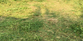 Kẹt Tiền! Chủ Cần Bán Gấp Lô Đất Nhơn Trạch Giá Mềm.