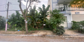 BÁN ĐẤT QUẬN 7- Bán lô đất Phú Mỹ Chợ Lớn Quận 7