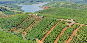 Đất Sổ Sẵn_550Triệu_Vị Trí Siêu Đẹp_View Hồ Daklong Thượng