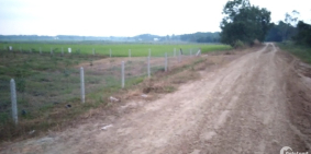 Bán đất trồng cây lâu năm Củ Chi. Sổ hồng riêng. Giá 580 triệu