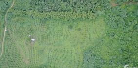 BÁN TRANG TRẠI BƯỞI DA XANH GIA ĐÌNH 11 HA LƯƠNG SƠN - HÒA BÌNH GIÁ 12.5 TỶ