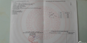 Cần tiền bán gấp thửa đất thổ cư số 3210 bản đồ 7 ấp Tân Đại, Tân Tập, Long An.