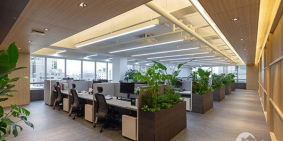 Cho thuê Tòa nhà văn phòng, cao cấp,  mới 100% tại trung tâm Quận 3