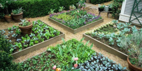 Bán đất đồi có sổ thổ cư liền kề tp. Đà Lạt chỉ 1.5 triệu/m2