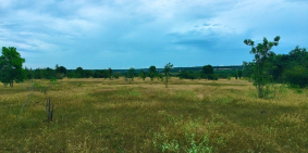 Đất làm Farmstay 12000m2 giá chỉ 778tr