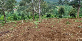 Bán đất Hoài Thanh Tuyệt đẹp TP Bảo lộc 600m 2.1 tỷ