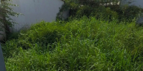 Chính chủ bán đất MT đường KDC Bình Nguyên - Dĩ An - Bình Dương