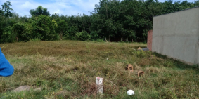 SỞ HỮU NGAY LÔ ĐẤT NỀN THỔ CƯ TẠI TÂY NINH CHỈ VỚI 280TR