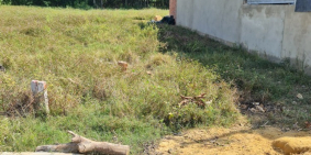 Đất mặt tiền đường bê tông 4m có điện đường kế kcn hiệp thạnh