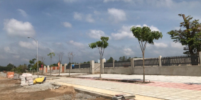 Mua Vàng thì lỗ - Mua Thổ thì lời