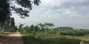 Bán Đất Giãn Dân Sơn Đông, Sơn Tây. Cách Quốc Lộ 21a Chỉ 700m. Dt: 144m. 850tr.