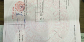 Bán biệt thự đường Nguyễn An, Đông Nam Cường, Hải Dương, 315m2, mt 15m, giá tốt