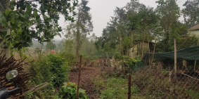 Đất mặt tiền đầu đường Vũ Ngọc Phan, Thủy Xuân