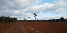 Dự án Đất nền ngay khu công nghiệp tại Gia Lai - KDC Ia Ring