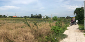 Đất lúa cho chuyển thổ 100% bao đứng tên đất lúa.Ngừoi Tp đứng thoải mái