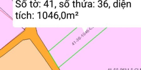 Tôi Chính Chủ Bán 1046m2 Nhà-vườn-trại Tại Bàu Cạn Gần Dự Án Sân Bay Long Thành