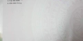 Sang nhượng gấp 221m² đất Củ Chi giá chỉ 1.6 tỷ