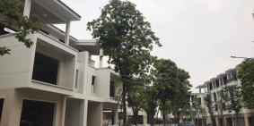 Bán biệt thự Ecopark, HD lô góc, 200m2, mặt tiền 10, 3.5 tầng, khu trung tâm