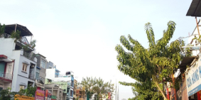 Bán nhà ĐẸP đường Lý Thái Tổ, Quận 10, 38m2, giá giảm còn 4 tỷ 6