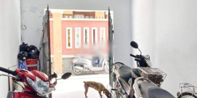 Bán nhà 3 lầu hẻm xe hơi đường Âu Dương Lân Phường 2 Quận 8