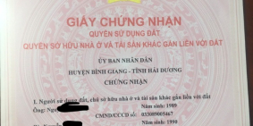 BẤT ĐẤT NỀN GIÃN DÂN THÁI HOÀ - BÌNH GIANG HẢI DƯƠNG SỔ ĐỎ TRAO TAY