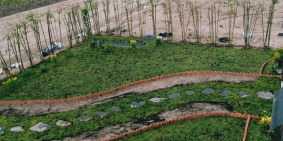 Đất nền diện tích lớn sổ hồng riêng từng nền