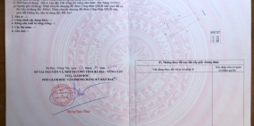 1,2 sào đất có 600m.tc cách bãi biển 2,5km tại đường võ thị sáu, đất đỏ cần bán.