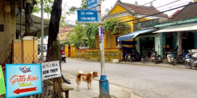 Giá hời cho những nhà đầu tư thông minh với đất 3 mặt tiền Hội An