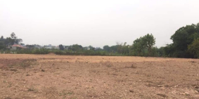 Bán Đất Xây Biệt Thự - Nhà Vườn Cách Đường Bắc Sơn Kéo Dài 500m, Cạnh Trường Trung cấp Luật Thái Nguyên