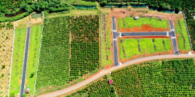 Đất nghỉ dưỡng cạnh suối Damb'ri 170m2 (thổ 100m2) Lộc Quảng, Bảo Lộc