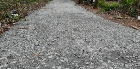 thạnh hoà bến lức Long An, Đường đá xanh rộng rãi ô tô 4 chổ 445/1000m2