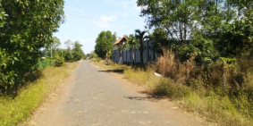 2 mẫu vườn xoài tại thị trấn đất đỏ, huyện đất đỏ cần sang nhượng lại.