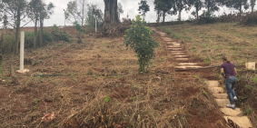 Cần bán 1440m2 thị trấn Nam Ban, Lâm Đồng, giá 1.5tr/m2