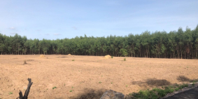 Cần bán 3 sào đất trung tâm Tân Hiệp, gần sân bay Long Thành, SHR chỉ 10 tỷ.