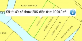 Đất trồng cây lâu năm giá đầu tư, view sông Phú Đông Nhơn Trạch, ĐN