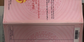 Em Và Gia Đình Cần Thu Hồi Vốn Nên Bán Gấp Đất Sào Chính Chủ