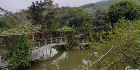 BÁN 6HA ĐẤT YÊN BÌNH THẠCH THẤT GIÁ 85 TỶ