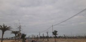 Cơ hội đầu tư siêu hot đất nền Biệt Thự Tropical palm