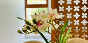 Sở hữu nhà phố VEN SÔNG THU BỒN gần VINPEARL