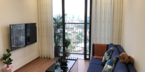 Căn hộ cho thuê full nội thất, 2 phòng ngủ, giá tốt Eco Green Sài Gòn